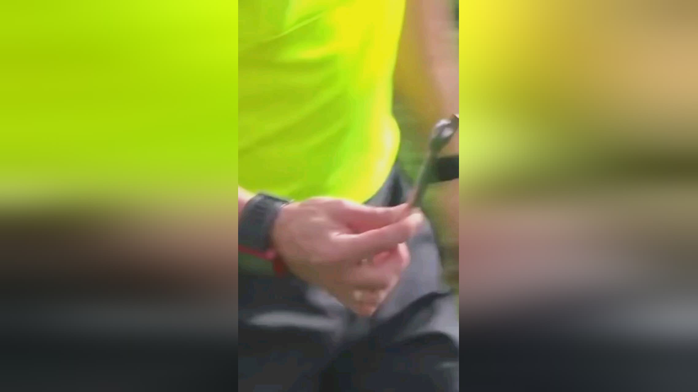 近日西甲劲